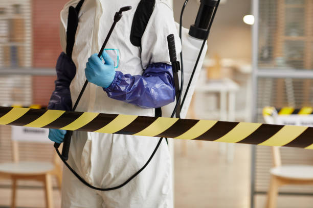 Professional Hoarding Cleanup technician working in Jamesport, NY